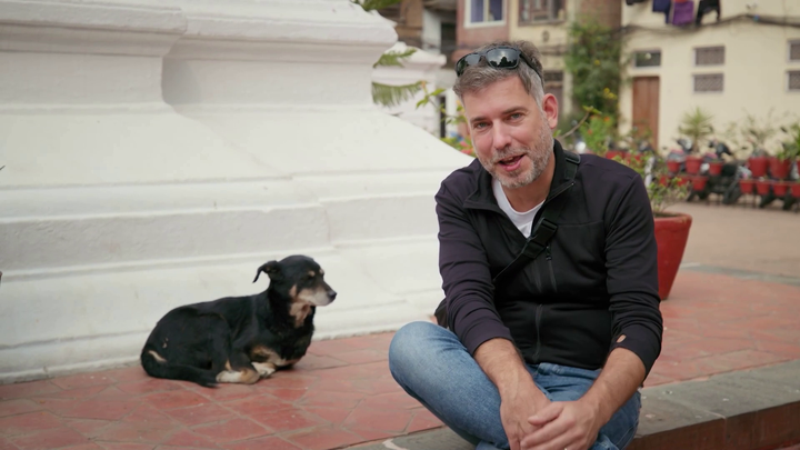 Dve tváre sveta - túlavé psy